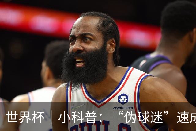 世界杯｜小科普：“伪球迷”速成手册
