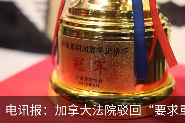 电讯报：加拿大法院驳回“要求重新考虑允许托马斯入境”的申请